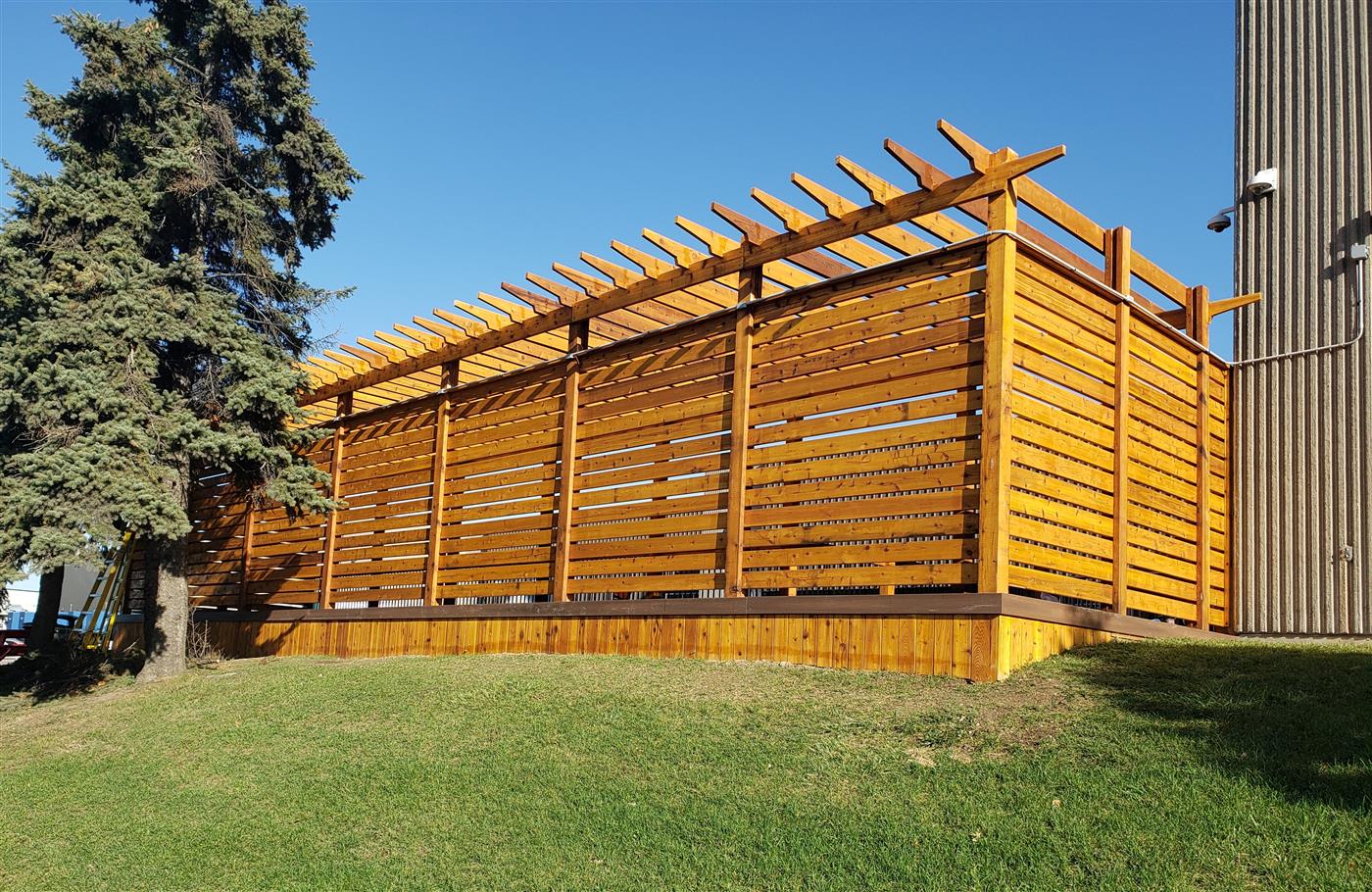 Custom wood fence and pergola project